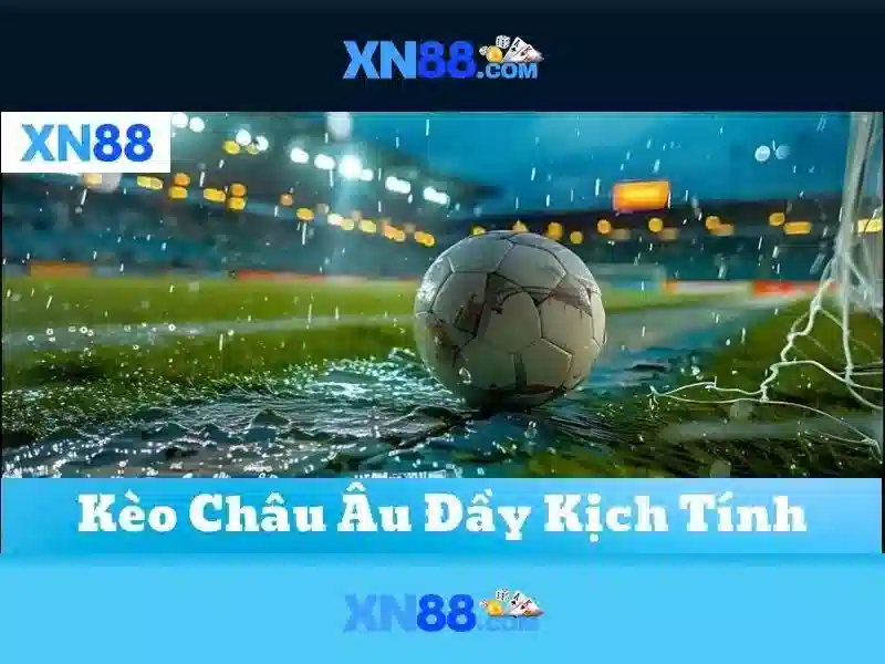 Các tính năng chính của nền tảng