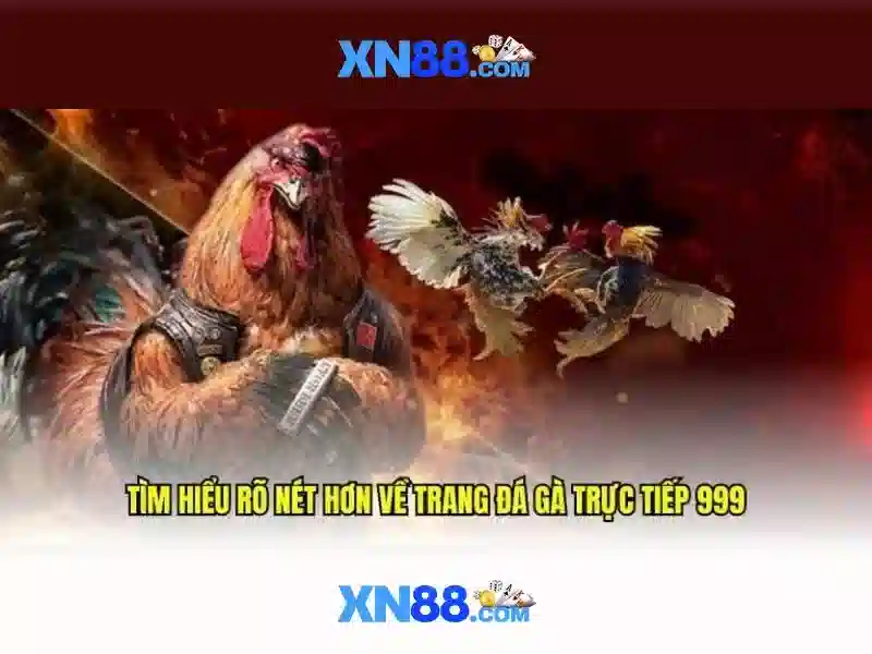 Những lưu ý pháp lý và đạo đức