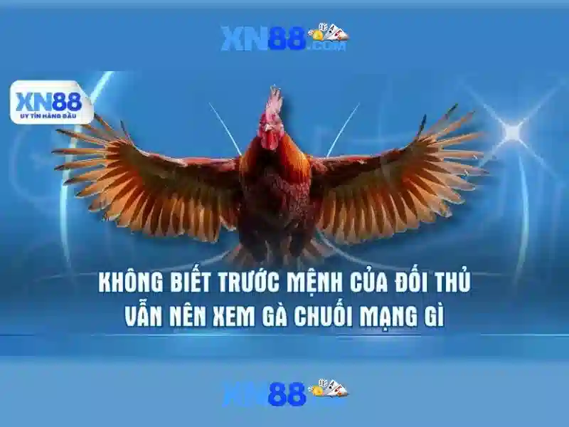 xn88: Nền tảng cá cược trực tuyến và những cập nhật mới