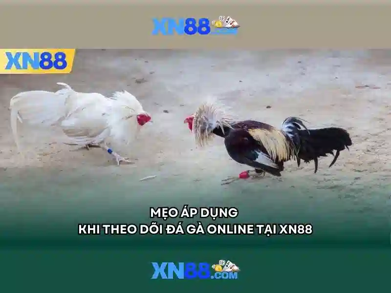 XN88 — Nền tảng giải trí trực tuyến hàng đầu