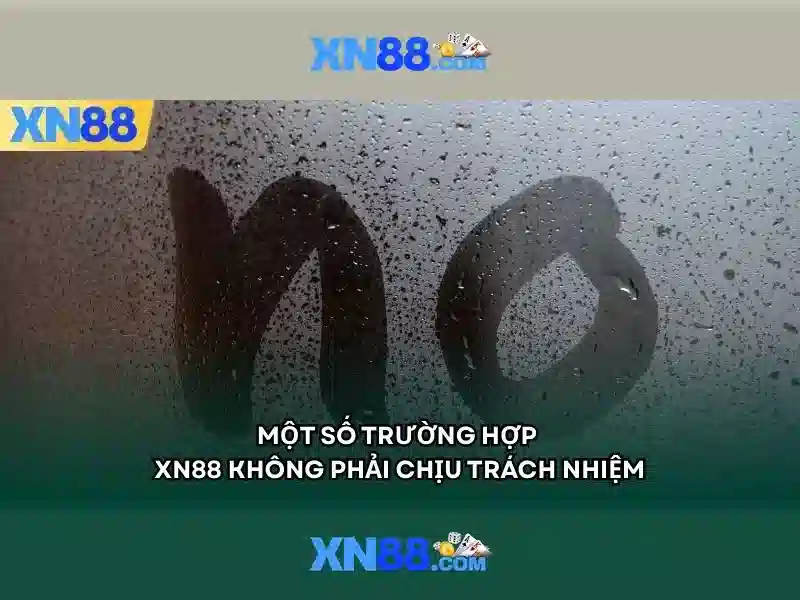 Tổng quan về xn88