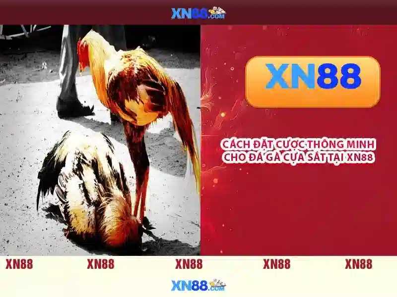 xn88: Nền tảng giải trí trực tuyến nổi tiếng