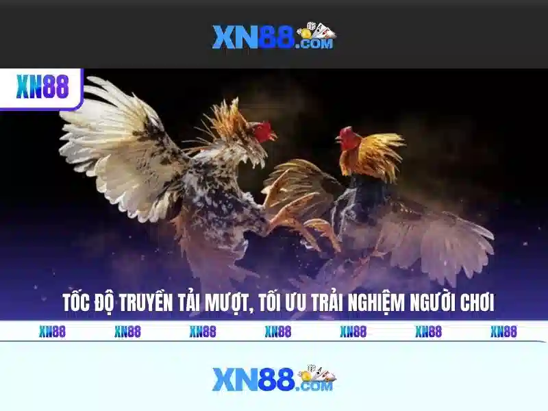Giới thiệu về xn88