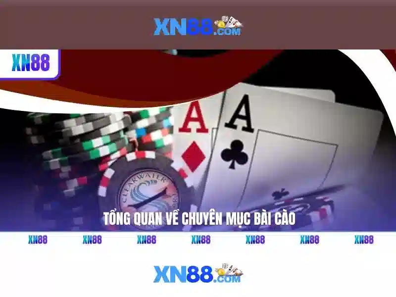 XN88: Nền tảng cược và trò chơi trực tuyến uy tín tại Việt Nam