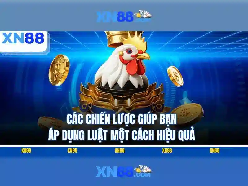 Lịch sử và sự phát triển của xn88