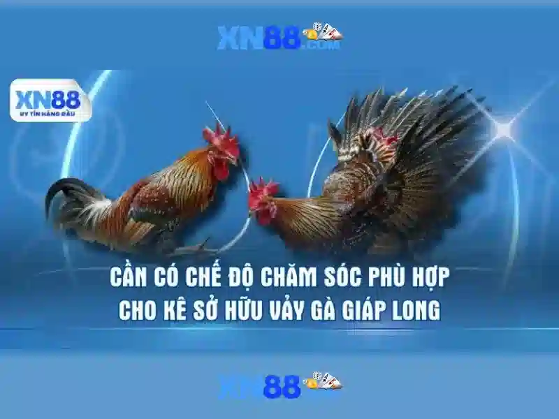Giới thiệu về xn88