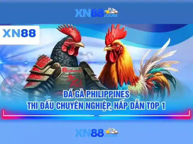 An toàn và trách nhiệm khi tham gia