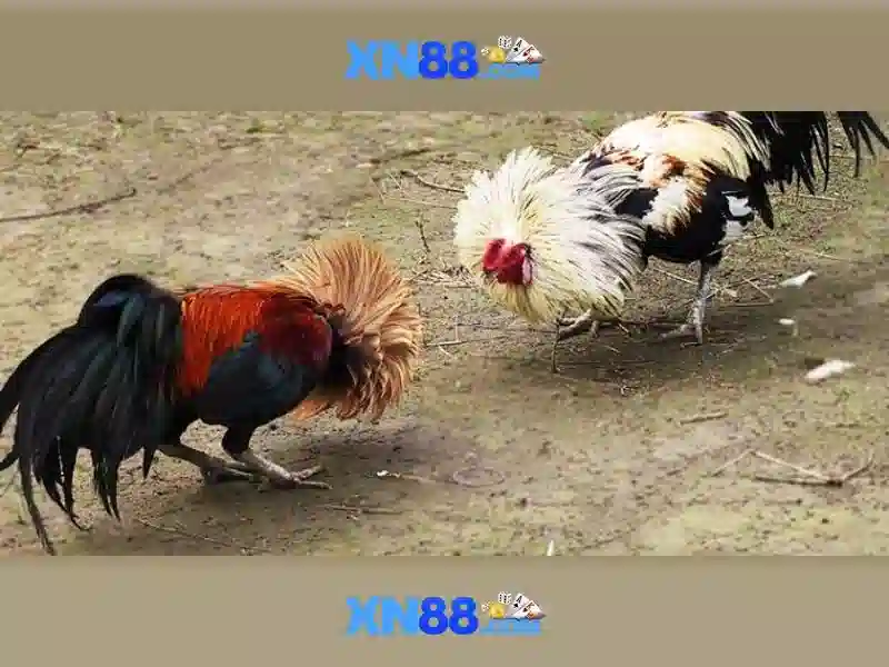 An toàn và bảo mật cho người chơi