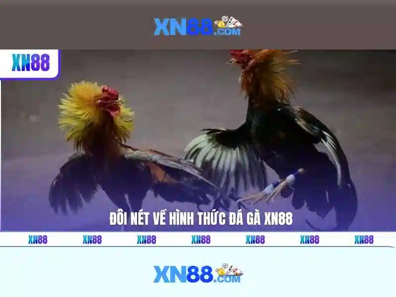 Giới thiệu về XN88