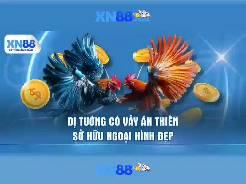 xn88: một cái nhìn tổng quan