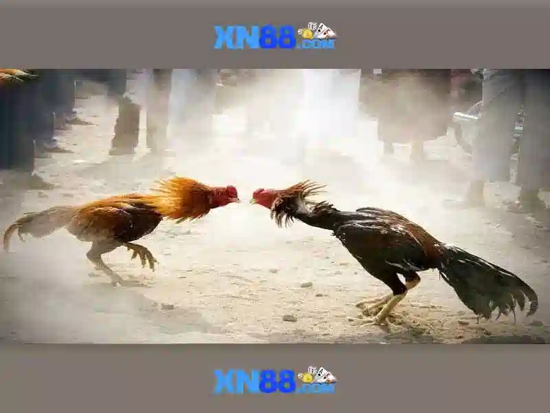 Công nghệ và nền tảng xn88
