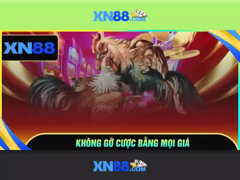 Khái quát về xn88: nền tảng giải trí trực tuyến