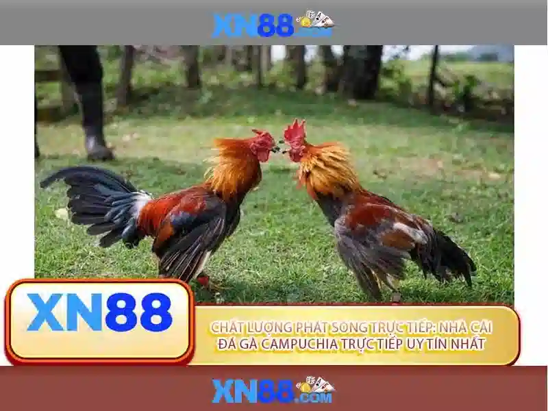 Cac loai keo cuoc esport da dang tai nha cai xn88