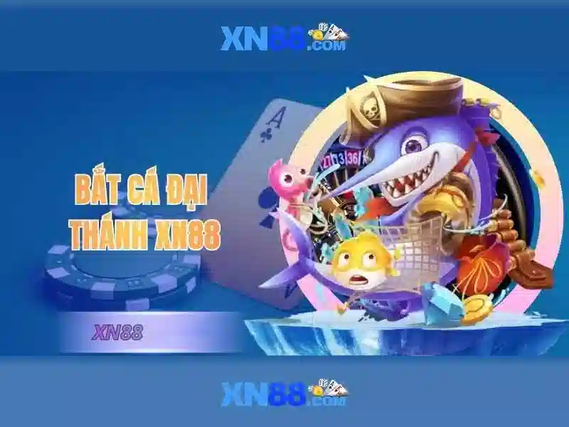 Trải nghiệm người dùng và giao diện