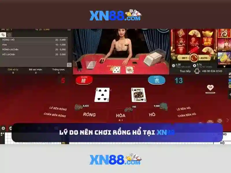 An toàn và lưu ý khi tham gia