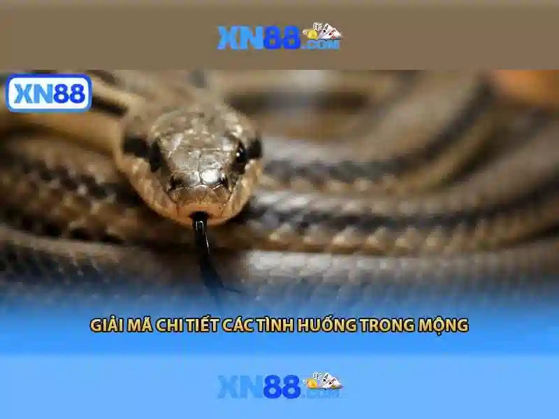 xn88: Nền tảng công nghệ và trải nghiệm người dùng