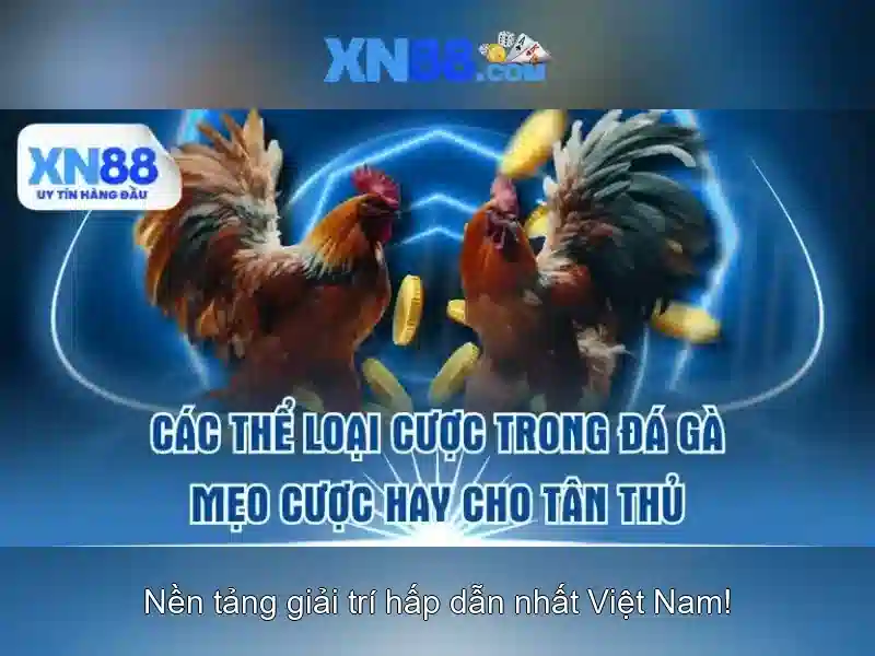 XN88 - Tổng quan và đánh giá nền tảng trực tuyến