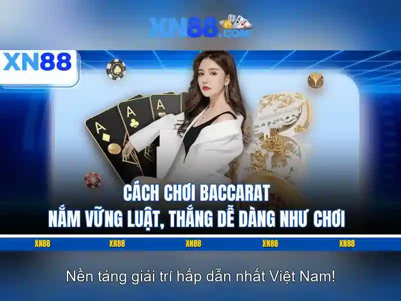 An toàn và quản lý rủi ro
