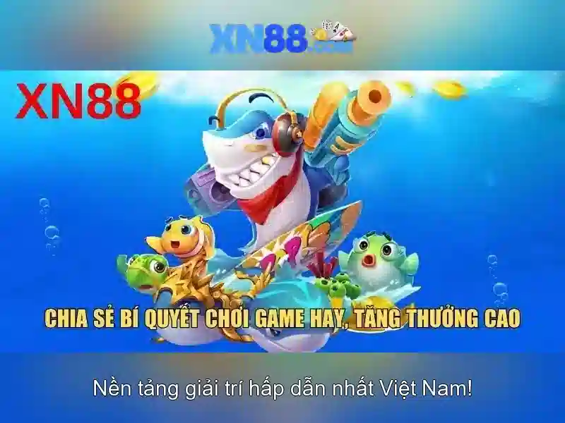 Xn88 là gì