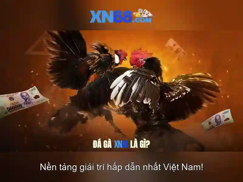 Giới thiệu về xn88