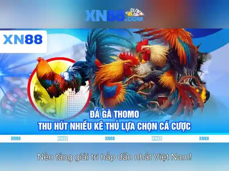 Nội dung chính của xn88