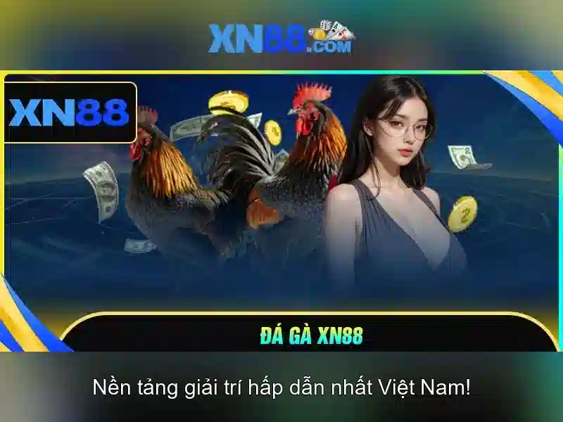 Hướng dẫn tham gia và đăng ký