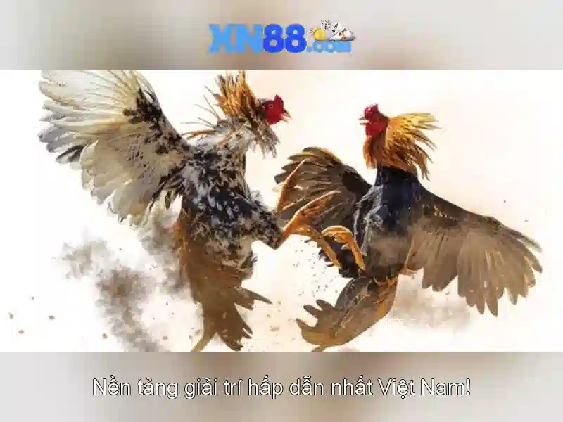 xn88: tổng quan và ứng dụng
