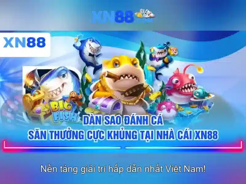 Ứng dụng di động và trải nghiệm người dùng
