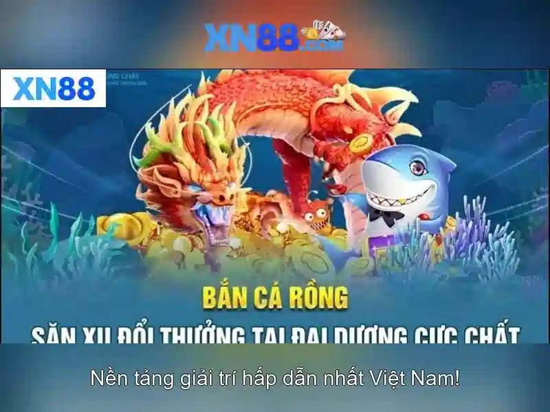 Chính sách an toàn và pháp lý