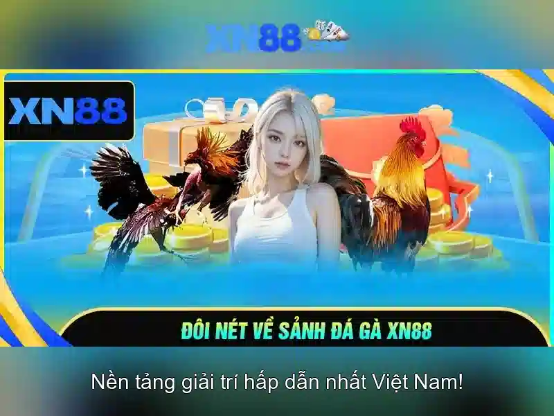 xn88 — Cổng cá cược trực tuyến và câu chuyện của nó
