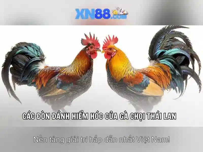 Uy tín và cấp phép