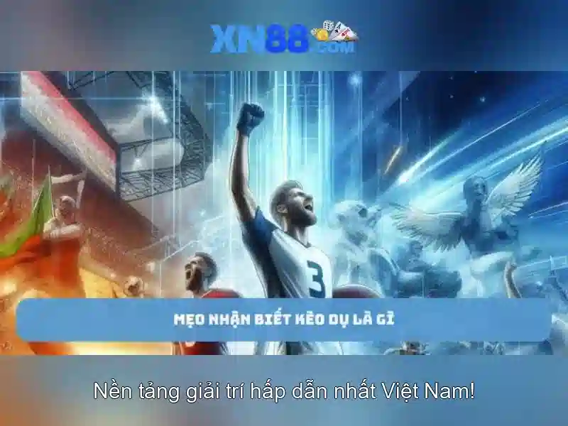 Cung cấp trò chơi và nền tảng