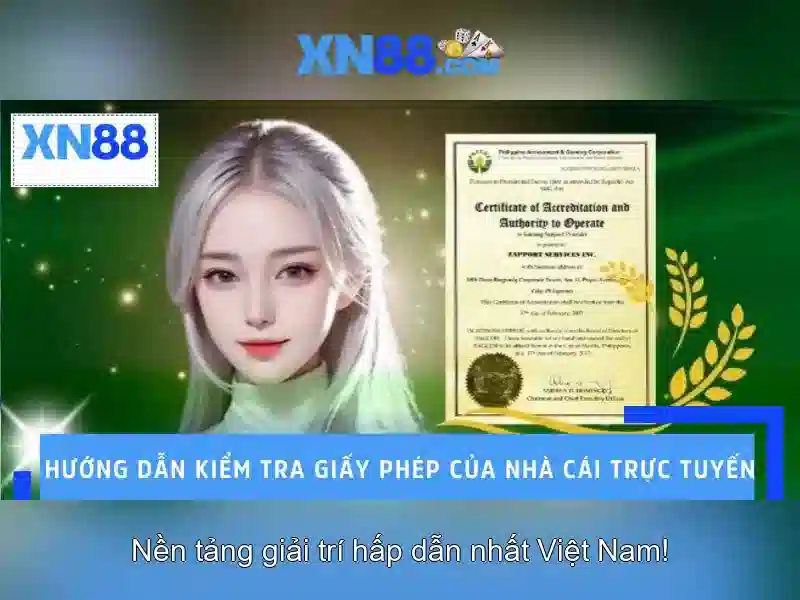 An toàn và trách nhiệm khi tham gia