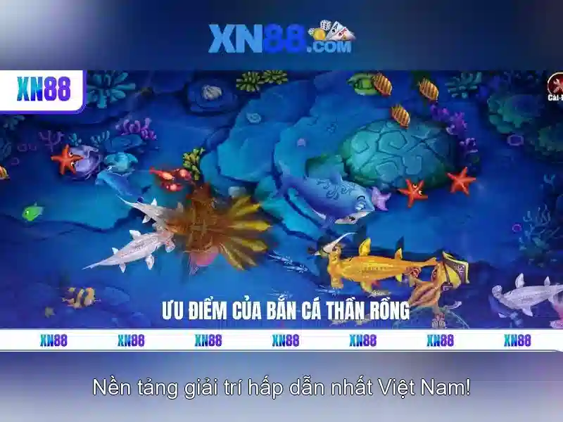 Kết luận và tương lai
