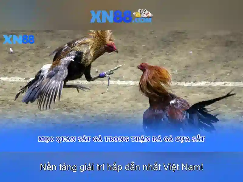 xn88 - Tổng quan về nền tảng chơi trực tuyến