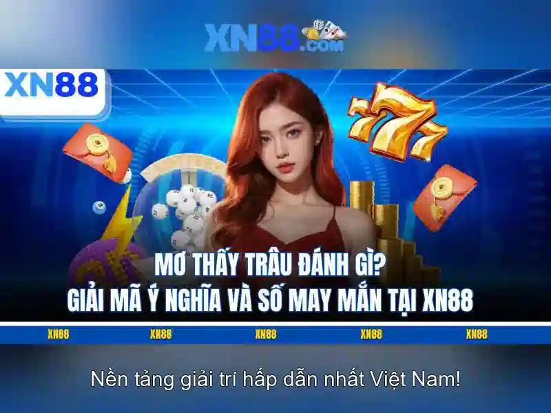 Các đặc điểm nổi bật