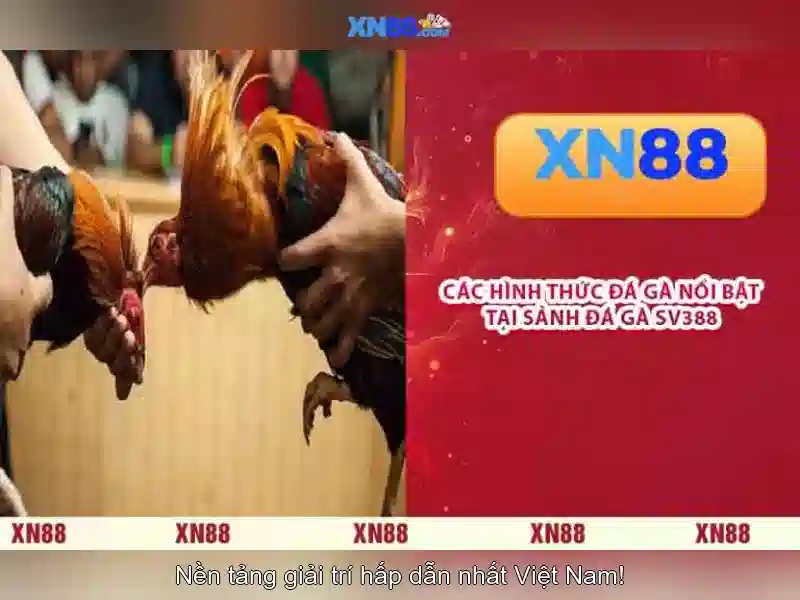 Lịch sử và nguồn gốc