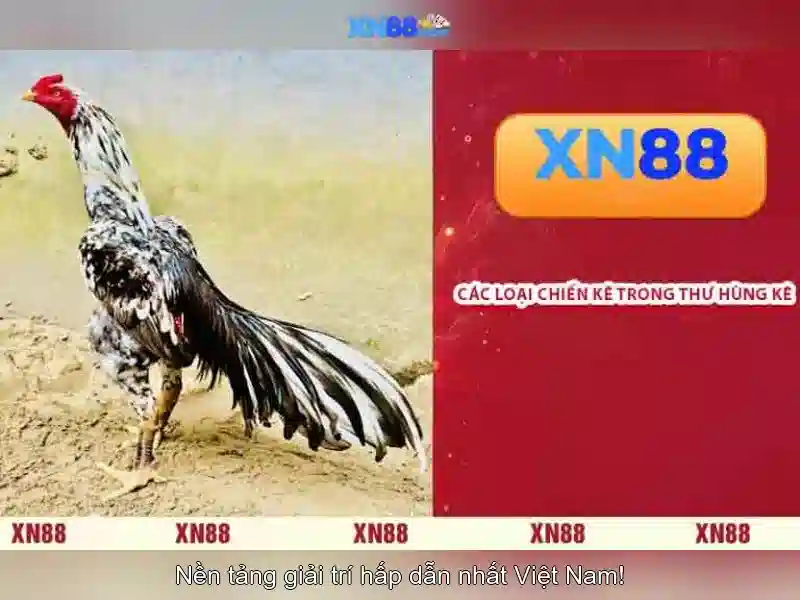 Giao dien dat cuoc the thao dien tu hien dai tai xn88