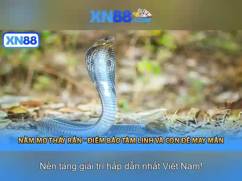 Sản phẩm và dịch vụ cốt lõi của xn88 bet