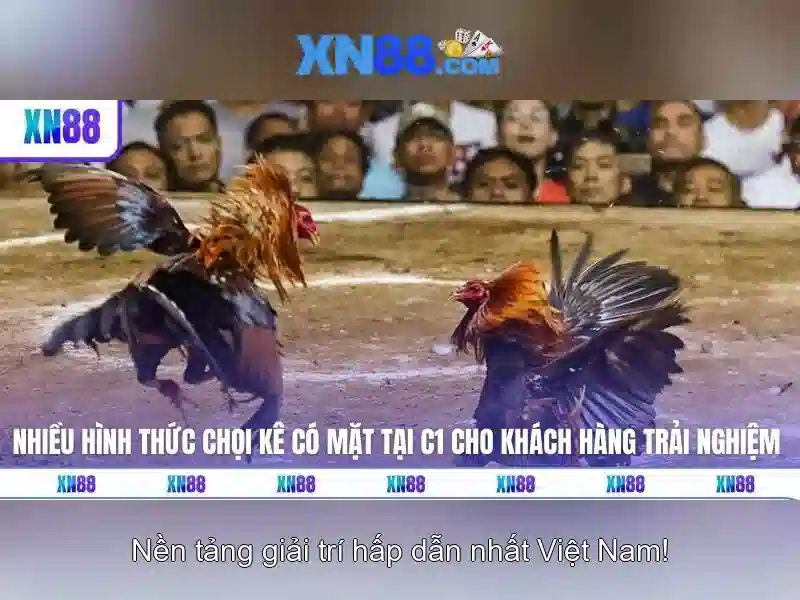 xn88: Nền tảng trò chơi trực tuyến và trải nghiệm giải trí
