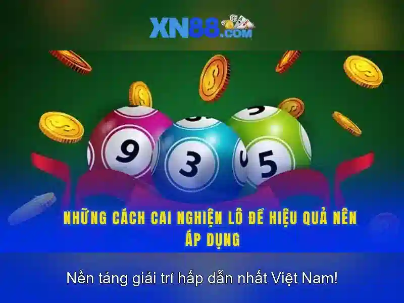 Khái niệm về xn88