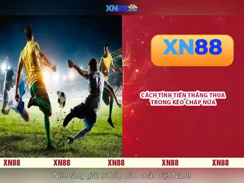 Giới thiệu về xn88