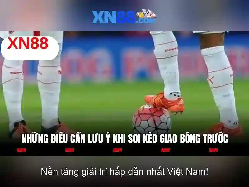 Độ tin cậy và pháp lý của xn88