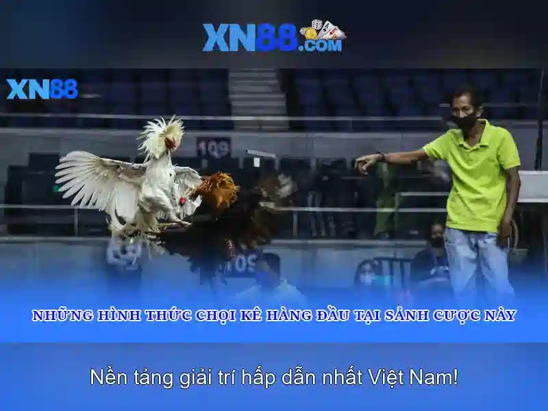 Giới thiệu về xn88