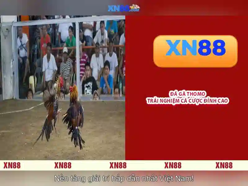 Bịa-do-bao-mat-tai-khoan