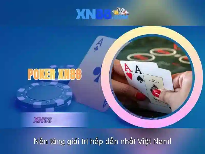 xn88: Tổng quan, chức năng và lưu ý an toàn