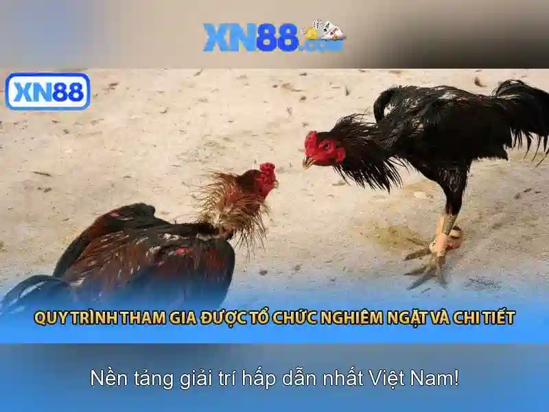 Các trò chơi phổ biến tại xn88
