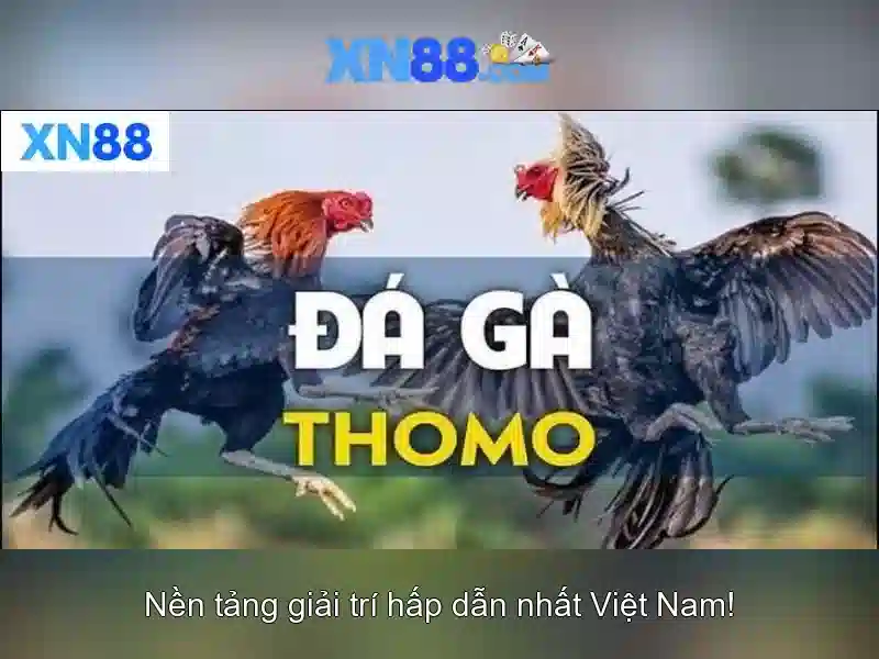 xn88 – Giới thiệu và trải nghiệm