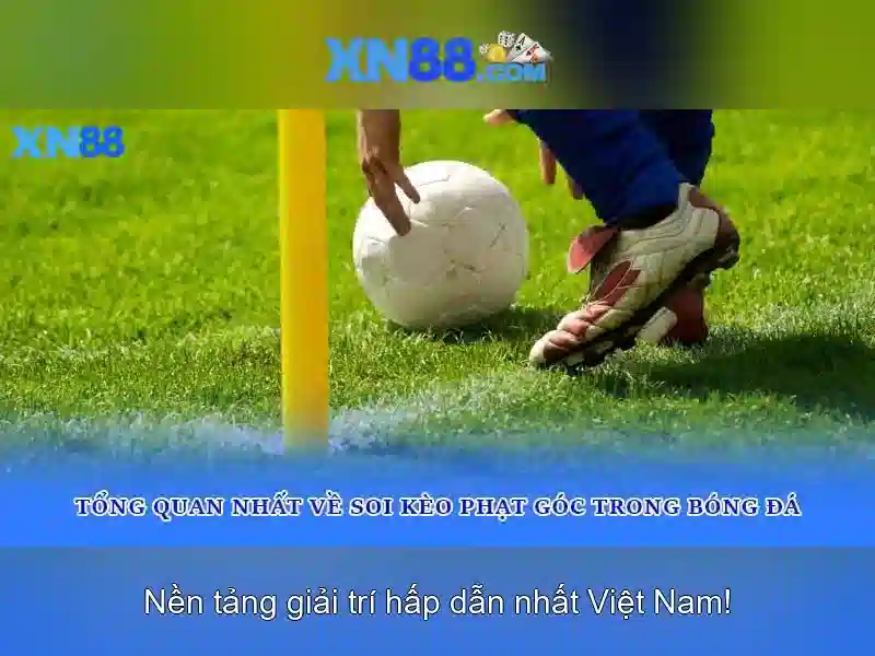xn88 là gì