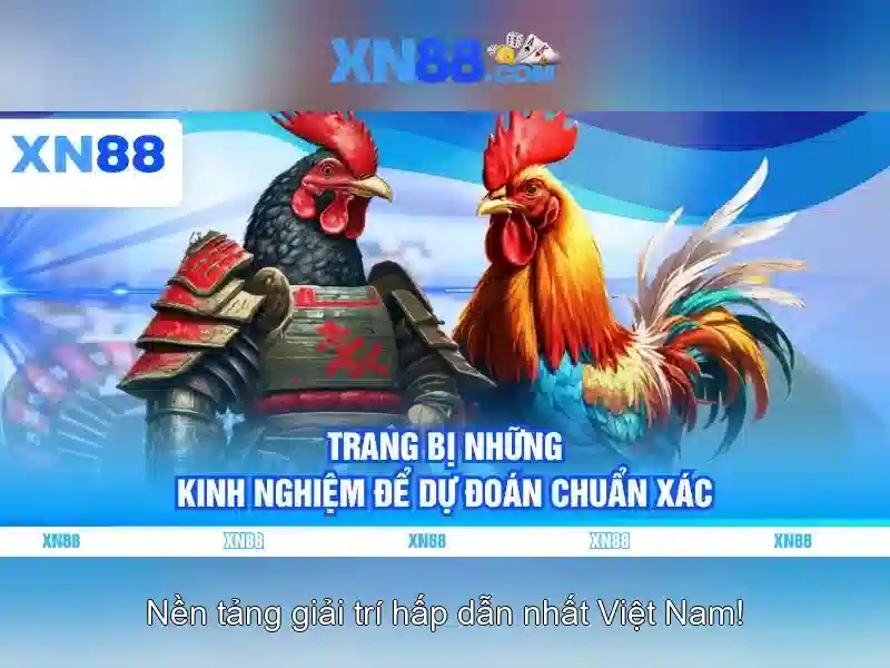 xn88: Nền tảng công nghệ và cộng đồng